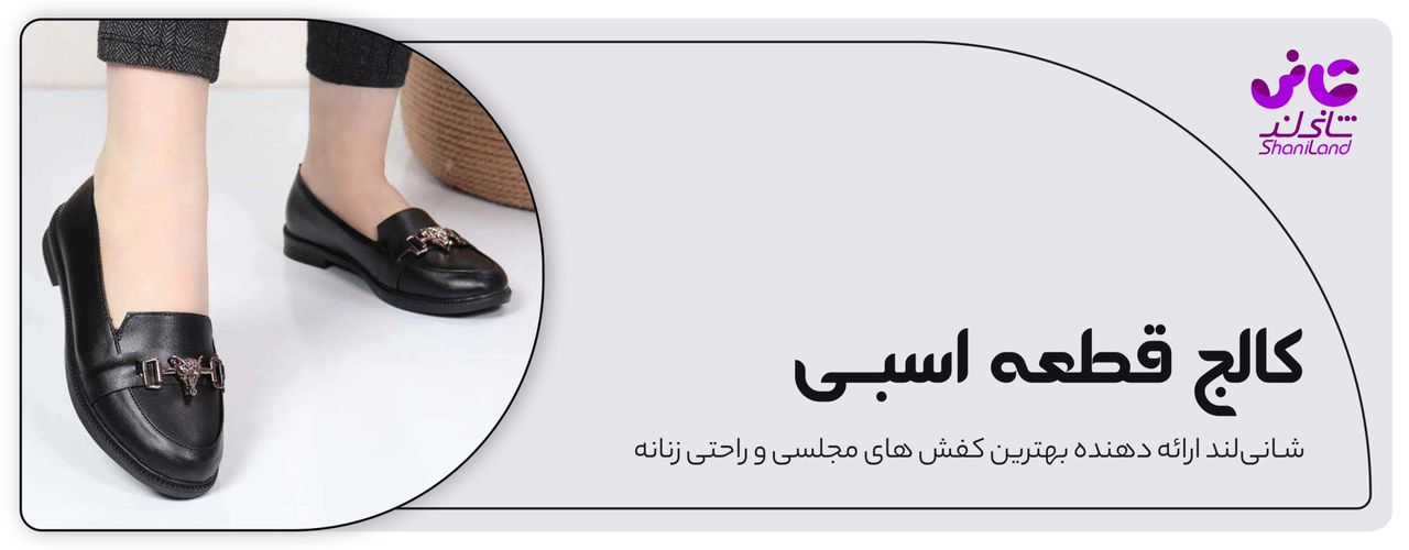 کالج زنانه قطعه اسبی